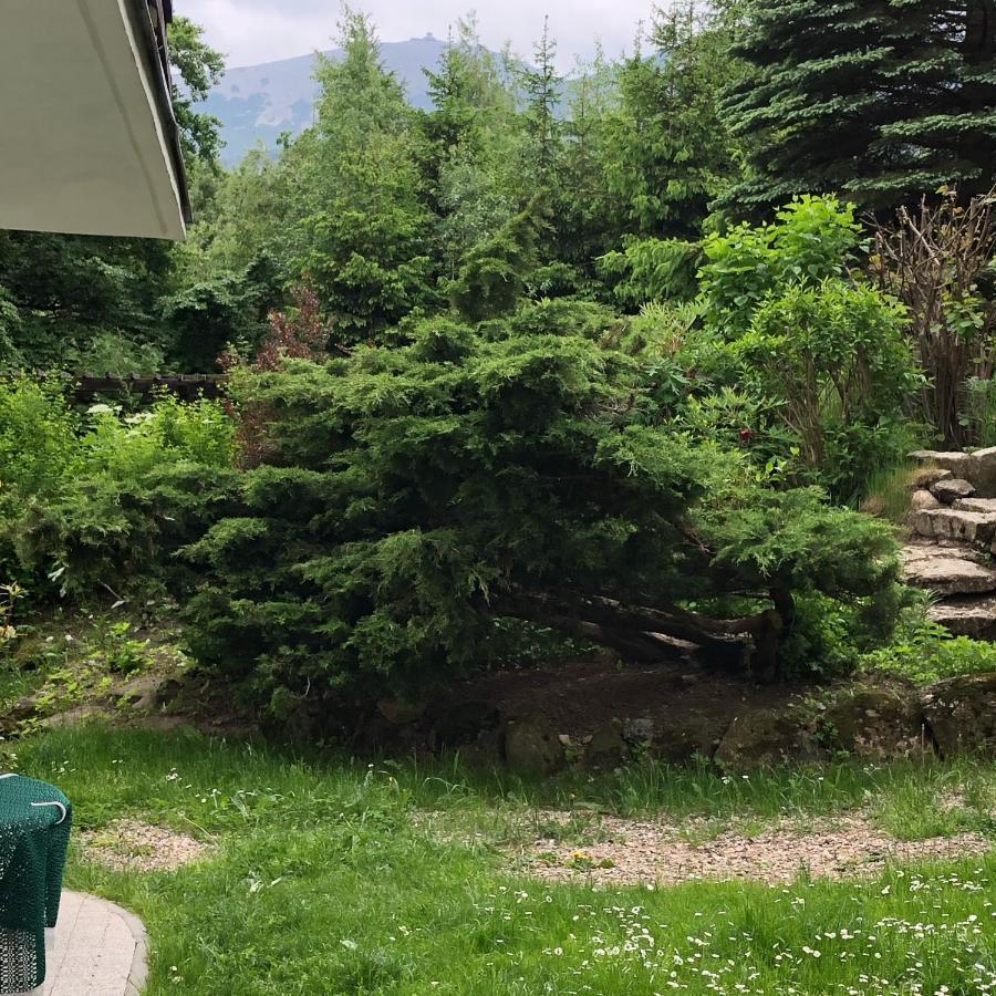 Azyl Karpacz - Kazdy Pokoj Z Wlasna Kuchnia I Lazienka Esterno foto