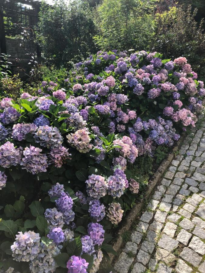 Azyl Karpacz - Kazdy Pokoj Z Wlasna Kuchnia I Lazienka Esterno foto
